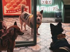 -香港華心糖水鋪(南西总店)