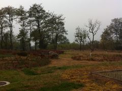 IMG_2803-金隅凤山酒店