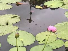 -云溪植物园
