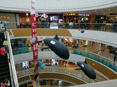 -上海颛桥万达广场