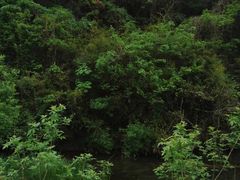 -南京市无想山景区