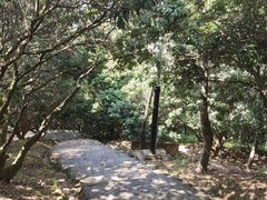 -风云岭森林公园