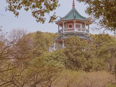 -无锡梅园公园