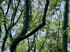-西溪南古村落