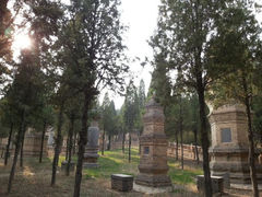 android_upload_pic-少林寺景区