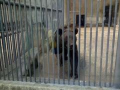 -祥源·阜阳生态乐园