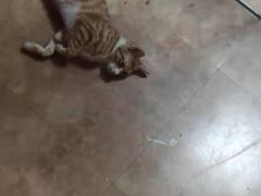 -逃脱反斗城沉浸剧情密室(北京路店)