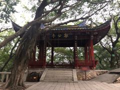-乌山风景区