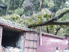 -七曲山风景区