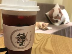 -猫和宫(六道口店)