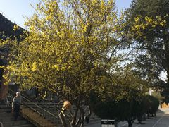-西宁市东关清真大寺