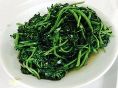 -明升萝卜汤