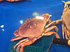 -盒马鲜生(昆城店)