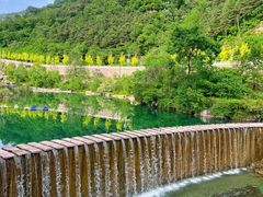 -王莽岭风景区