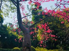 -晓港公园