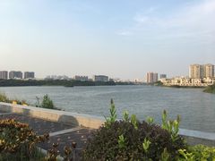 -立新湖公园