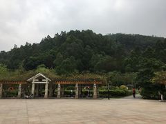 -火炉山森林公园