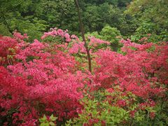 -西泰山风景区