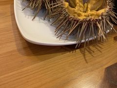 -海胆小馆(东北水饺·春柳店)