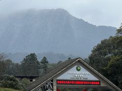 -中国大熊猫保护研究中心雅安碧峰峡基地