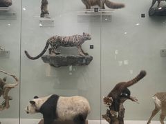 -国家自然博物馆