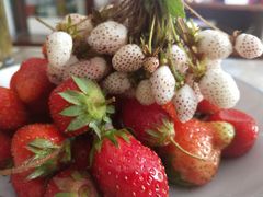 -北川羌城旅游区