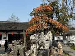-水绘园