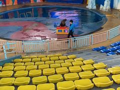 -海合安武汉极地海洋公园