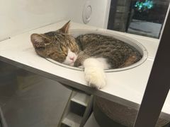 -Osteria Garden 生蚝花园餐厅(原进贤路店)