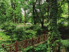 -素山寺森林公园