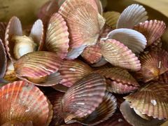 -嘉年华大酒店琴湾-自助餐厅