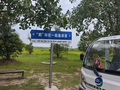 -盐城丹顶鹤湿地生态旅游区
