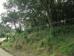 iphone_upload_pic-东湖景区