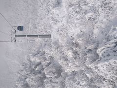 -亚布力新体委滑雪场