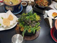 -新乾隆酒楼(帝景园店)