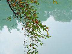 -棠湖公园