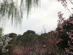 -大宁灵石公园西门票处