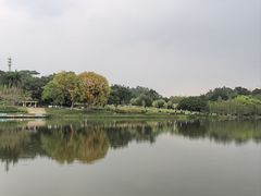 -东莞植物园