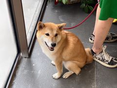 -Onirii Coffee(长乐路店)