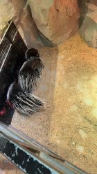 -酷嗒动物文化乐园(cutezoo西溪乐天城店)