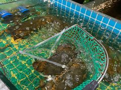 -三妹小龙虾·黄油蟹(华侨城总店)