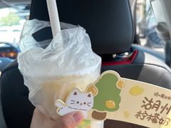 -猫的魔法密林(衣裳街店)