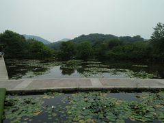 -白马涧龙池景区