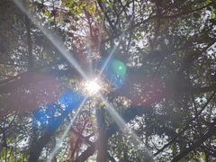 -青龙山国家森林公园