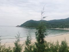 -西涌国际滨海旅游区