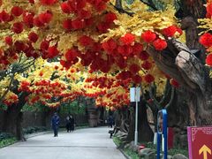 -横店影视城梦幻谷园区