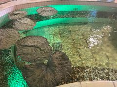 -泉城欧乐堡戏水湾艺术养生温泉