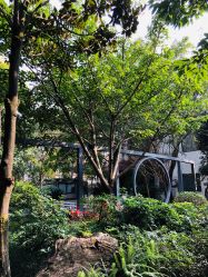 -莲生母婴月子中心(清水河公园店)