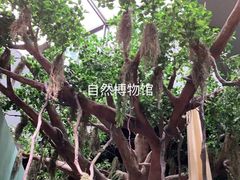 -长江文明馆