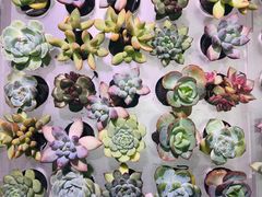 -KKV(深圳宏发大仟里店)